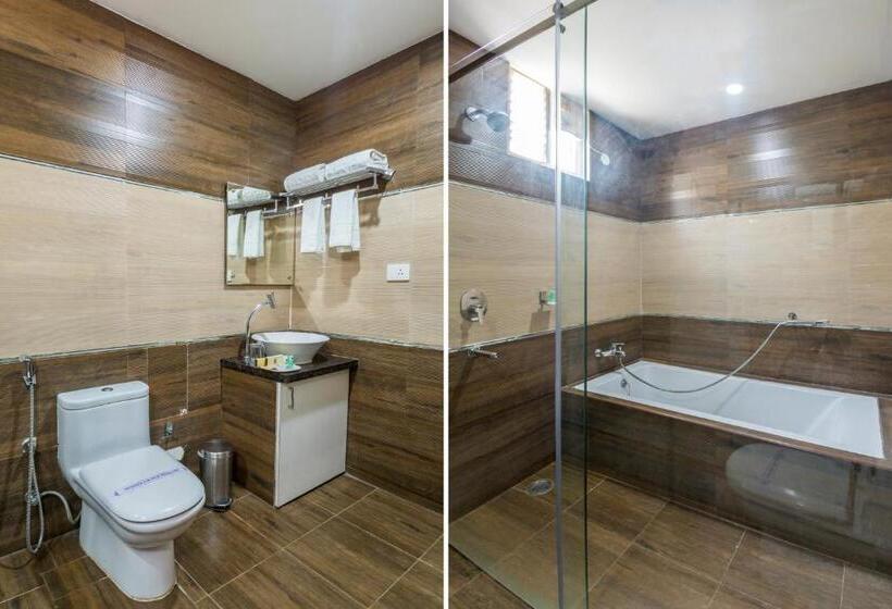 اتاق استاندارد با تخت بزرگ, V Royal Park