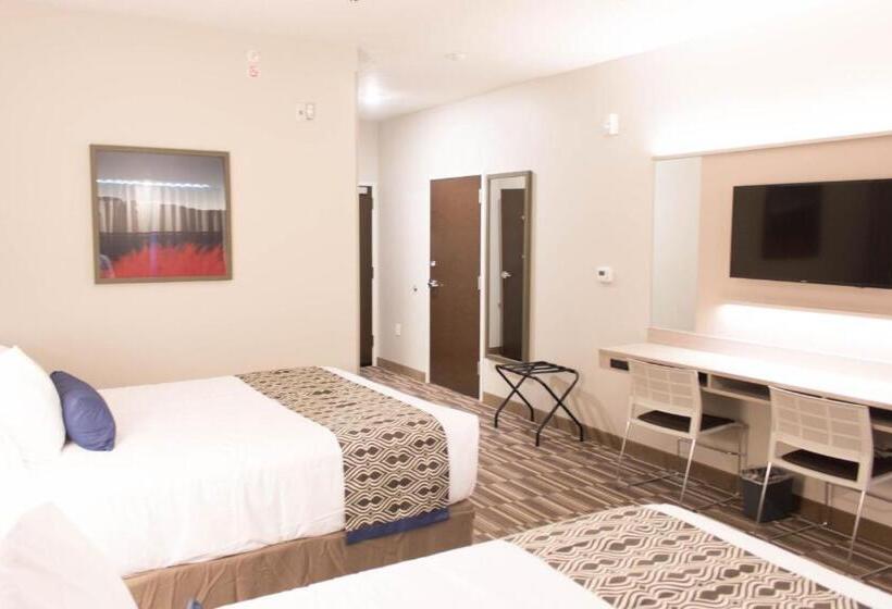 غرفة قياسية لذوى الاحتياجات الخاصة, Microtel Inn & Suites By Wyndham Springville