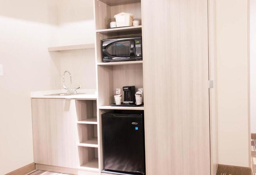 Студия Стандарт, Microtel Inn & Suites By Wyndham Springville