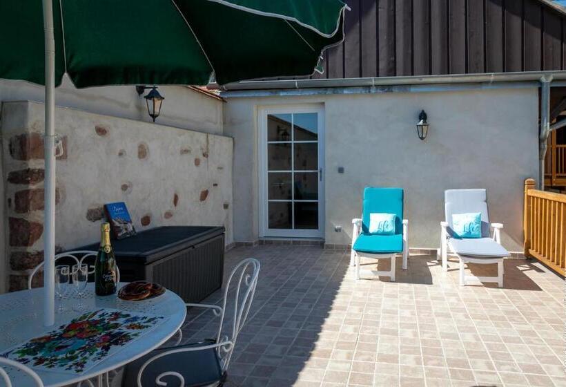 Апартаменты 1 Спальня с Террасой, Les Cigognes De Rosheim