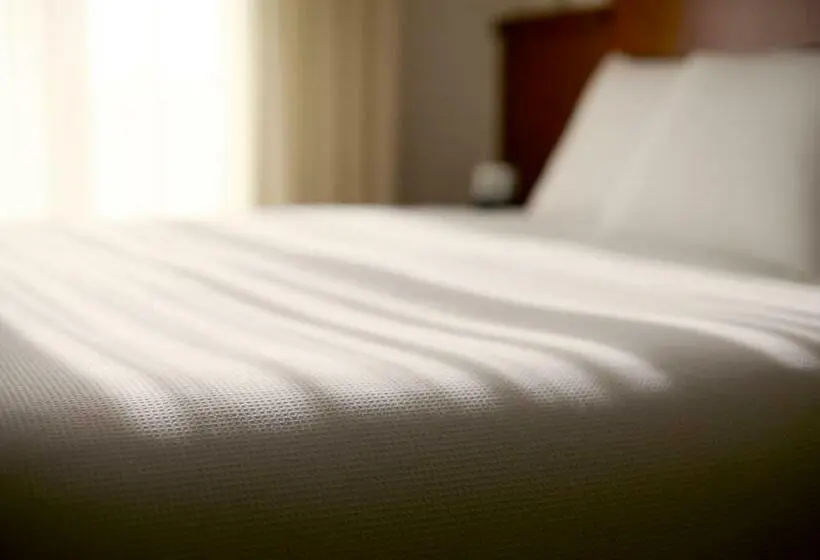 スタンダードルーム, Hyatt Place Cincinnati/sharonville Convention Center