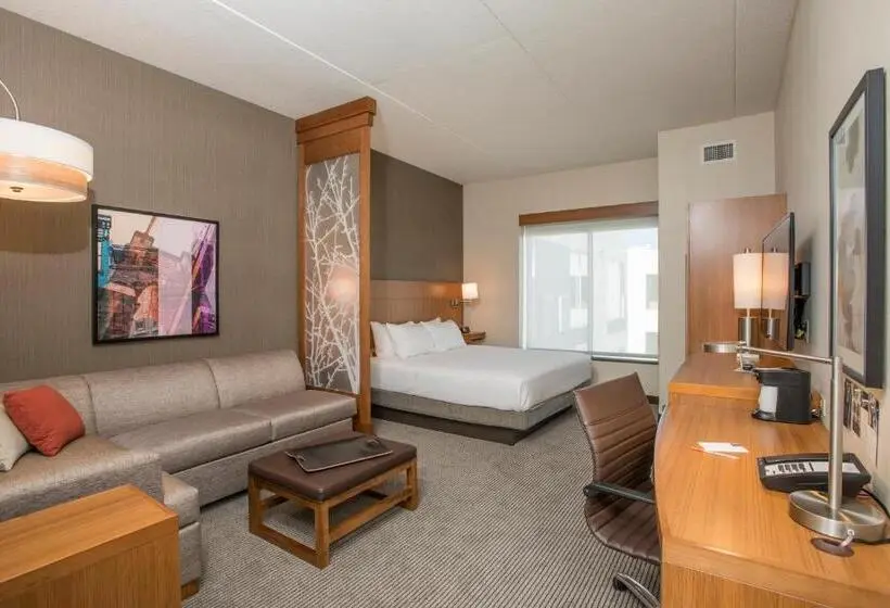 キングサイズベッドのスタンダードルーム, Hyatt Place Cincinnati/sharonville Convention Center