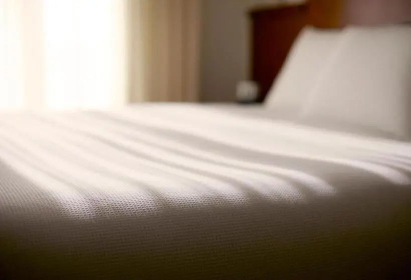 クイーンサイズベッドのスタンダードルーム, Hyatt Place Cincinnati/sharonville Convention Center