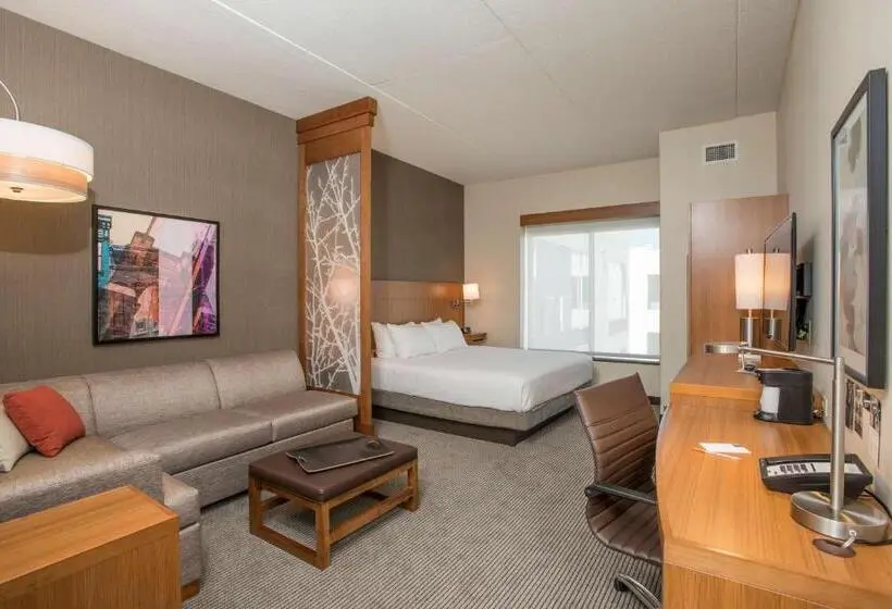 キングサイズベッドのスイートルーム, Hyatt Place Cincinnati/sharonville Convention Center