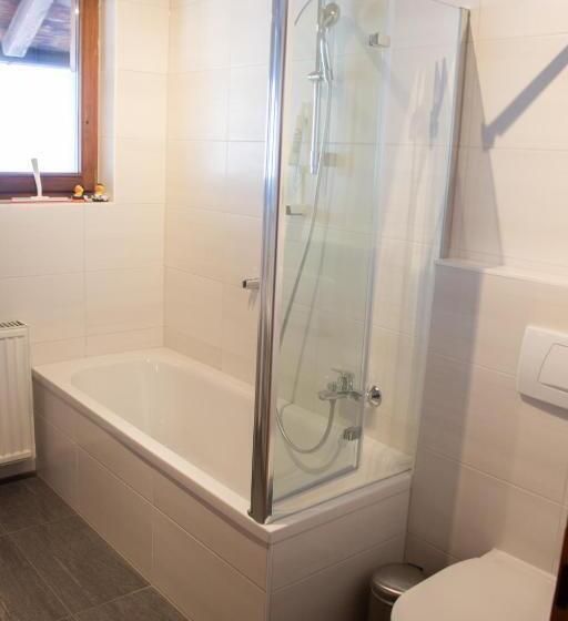 Апартаменты 1 Спальня с Балконом, Zomm In Seefeld