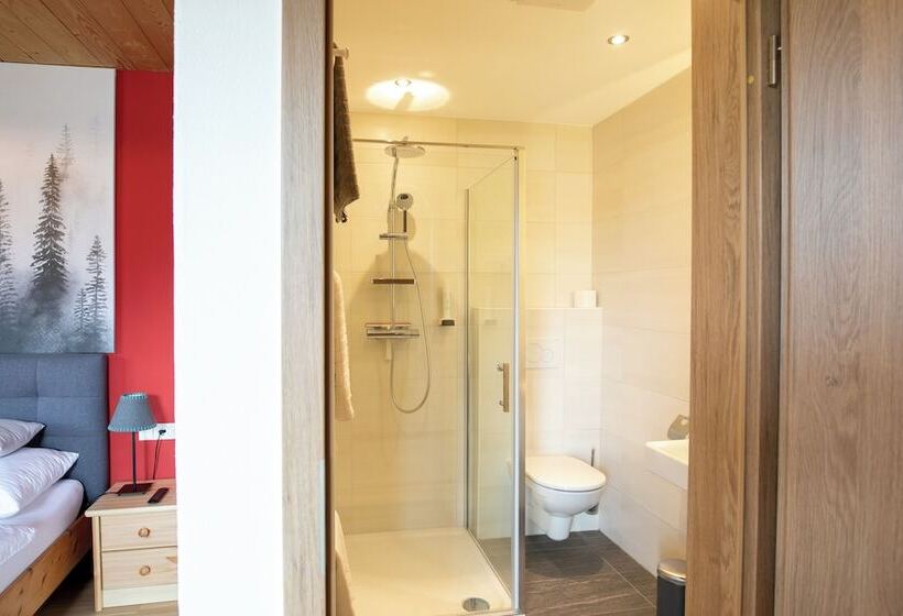 Номер Deluxe с Балконом, Zomm In Seefeld