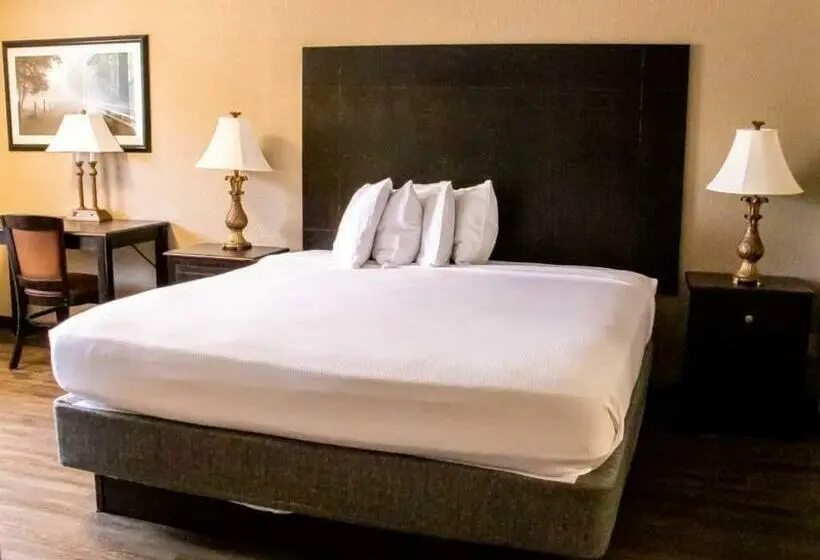 キングサイズベッドのスタンダードルーム, Econo Lodge