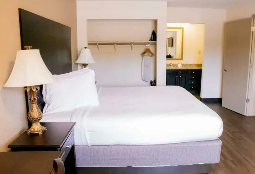 キングサイズベッドのスタンダードルーム, Econo Lodge