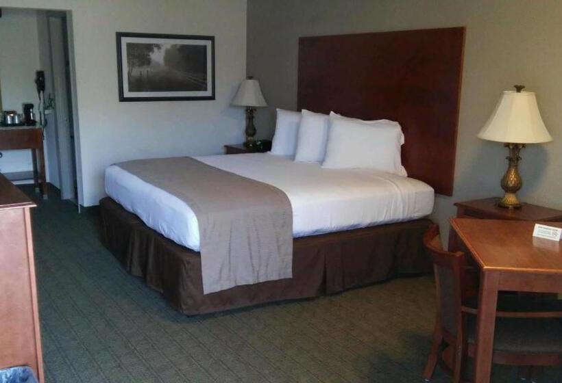 身障者適用キングサイズベッドルーム, Econo Lodge