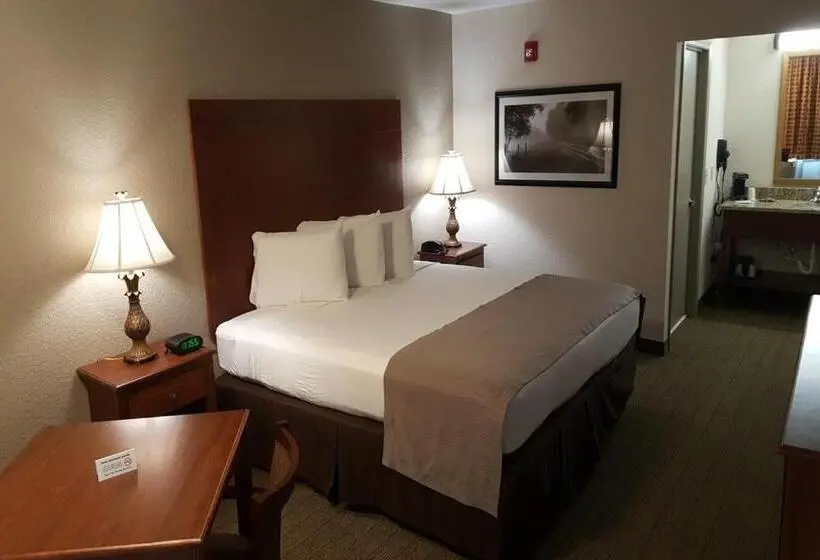 身障者適用キングサイズベッドルーム, Econo Lodge