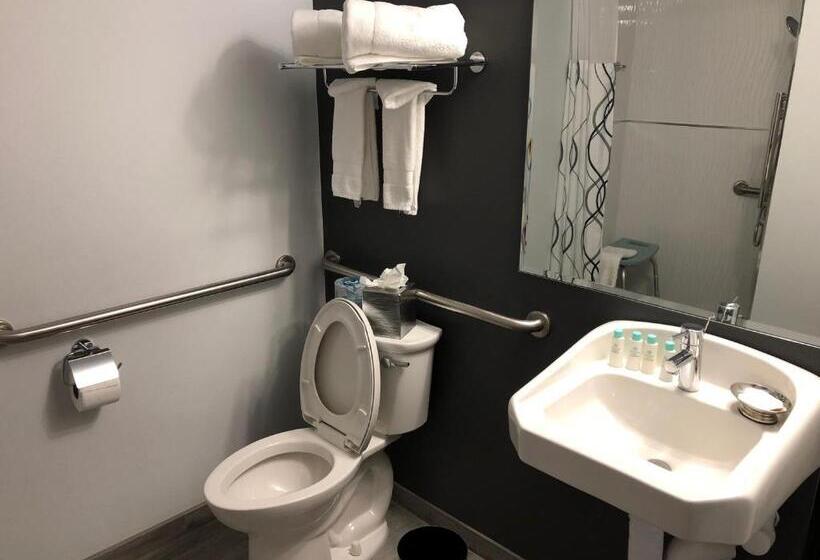 غرفة قياسية لذوى الاحتياجات الخاصة, Streamline