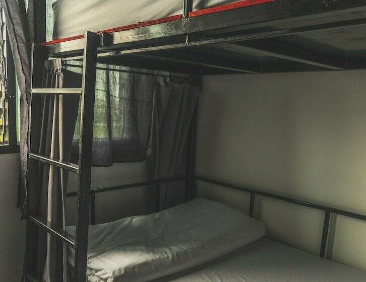 スタンダードルーム, Sleepaholic Hostel