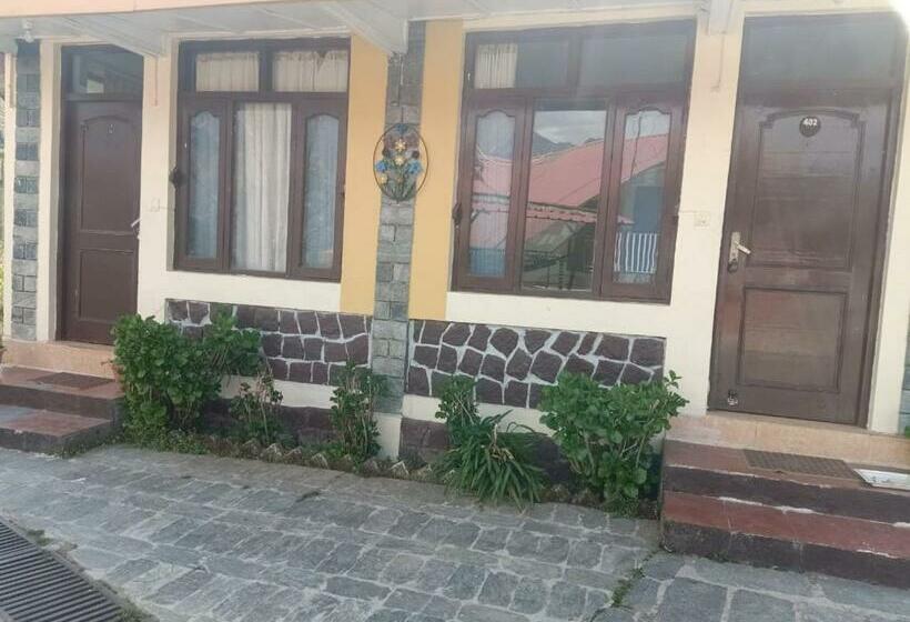 اتاق لوکس, Dragon I Resorts