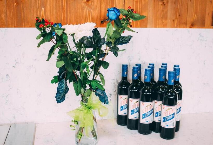 غرفة قياسية, Fosshótel Mývatn