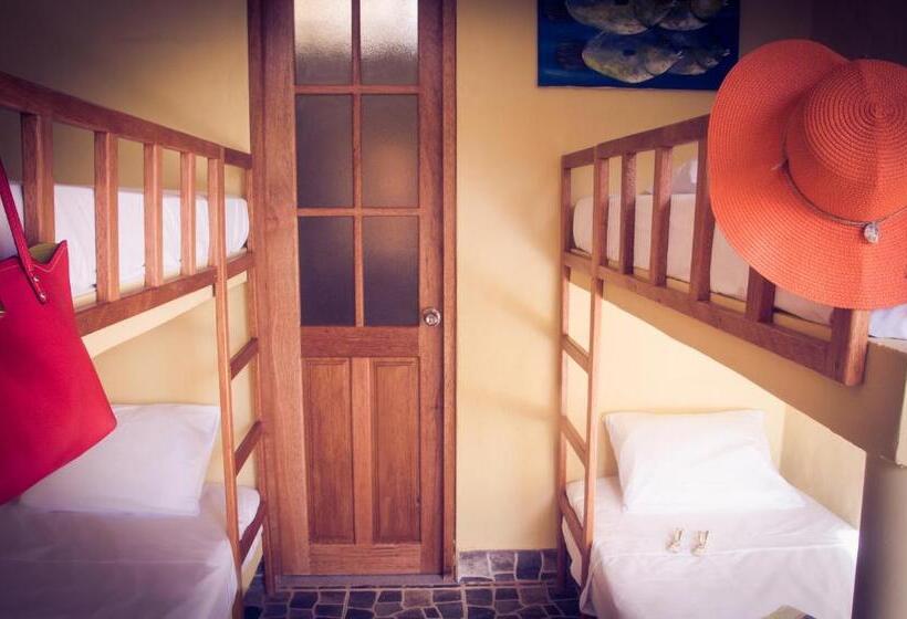 4인용 스탠다드 룸, Punta Sal Bungalows