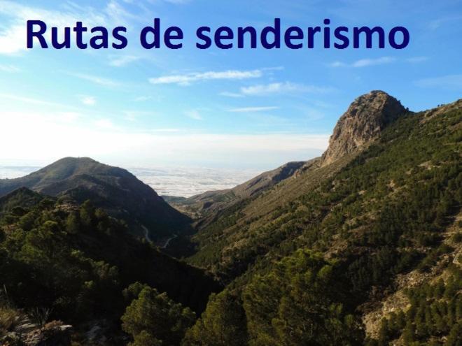 标准间带露台, Las Tres Patas Complejo Rural