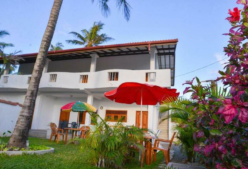 디럭스 룸, The Swiss Lankan