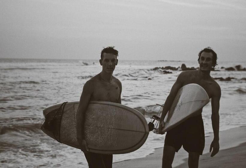 디럭스 룸, The Swiss Lankan