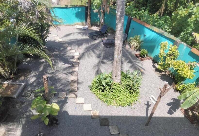 디럭스 룸, The Swiss Lankan