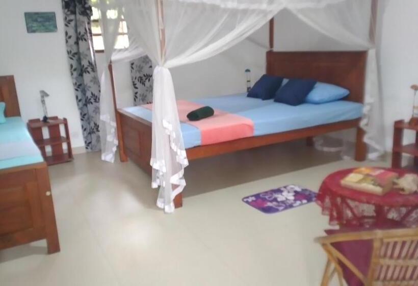 패밀리 룸, The Swiss Lankan