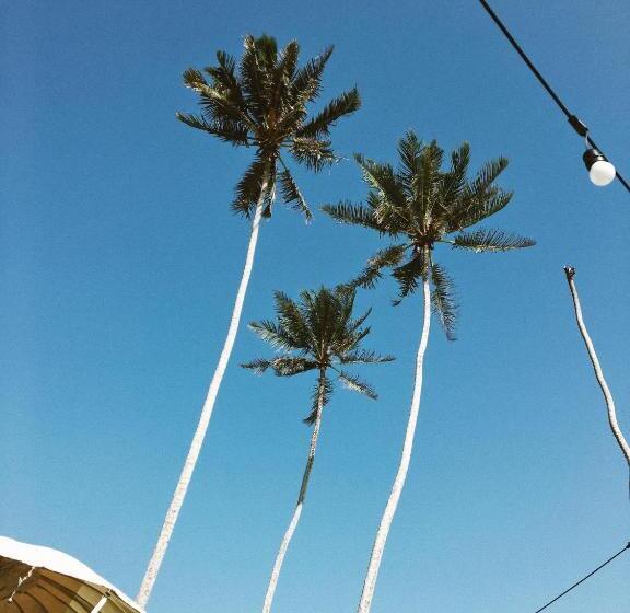 패밀리 룸, The Swiss Lankan