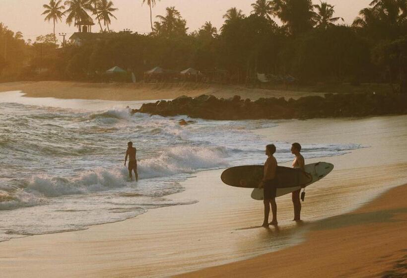 패밀리 룸, The Swiss Lankan