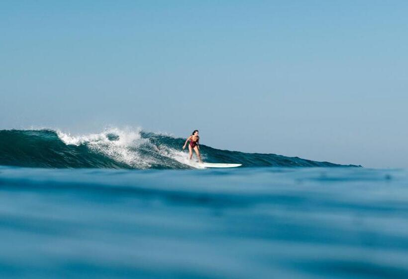 패밀리 룸, The Swiss Lankan