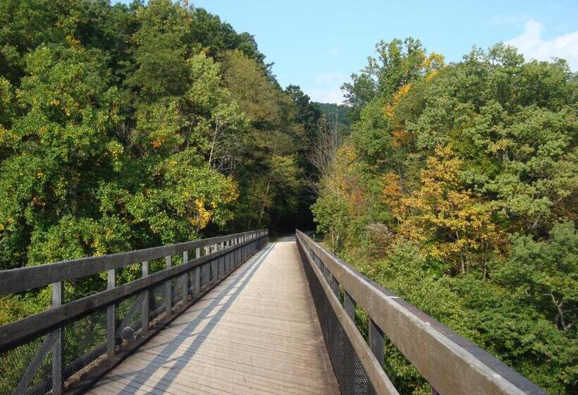 四人标准间, Melody Motor Lodge