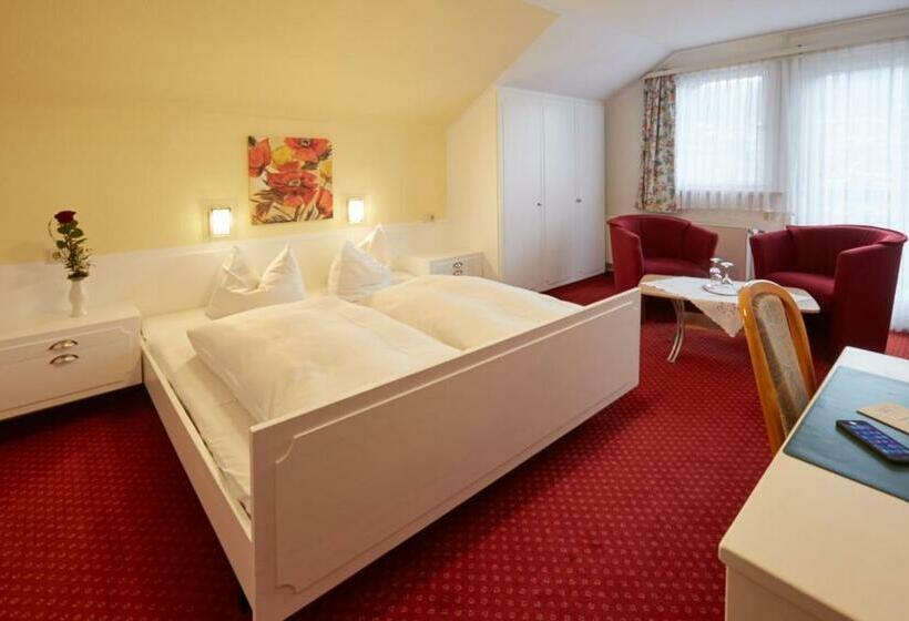 스탠다드 룸, Panoramahotel Berghof