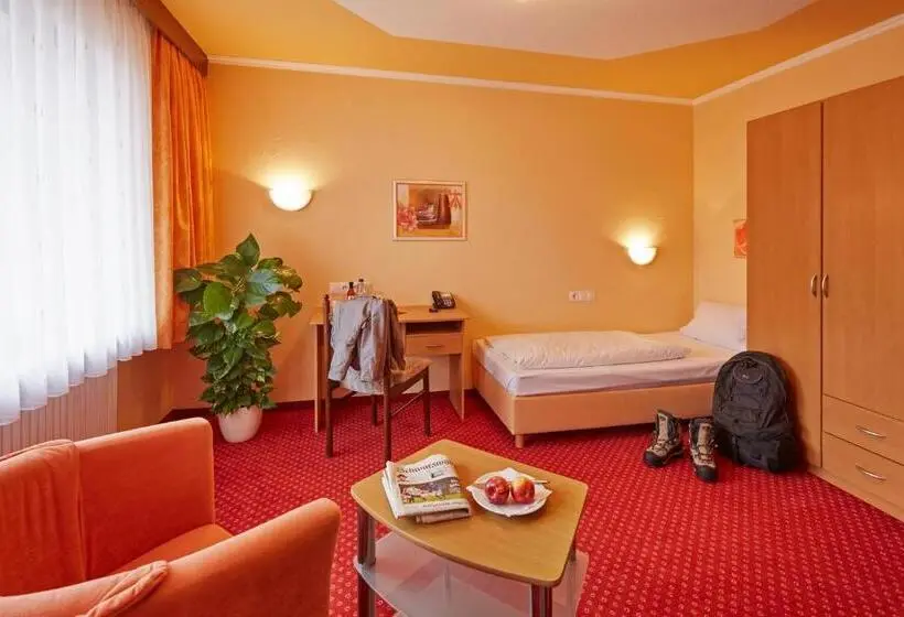 Standard Yhden Hengen Huone Parveke, Panoramahotel Berghof