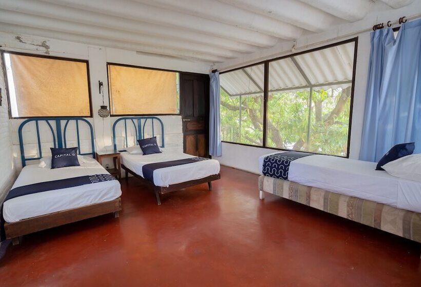 اتاق خانوادگی, Mision Y Spa Acapulco