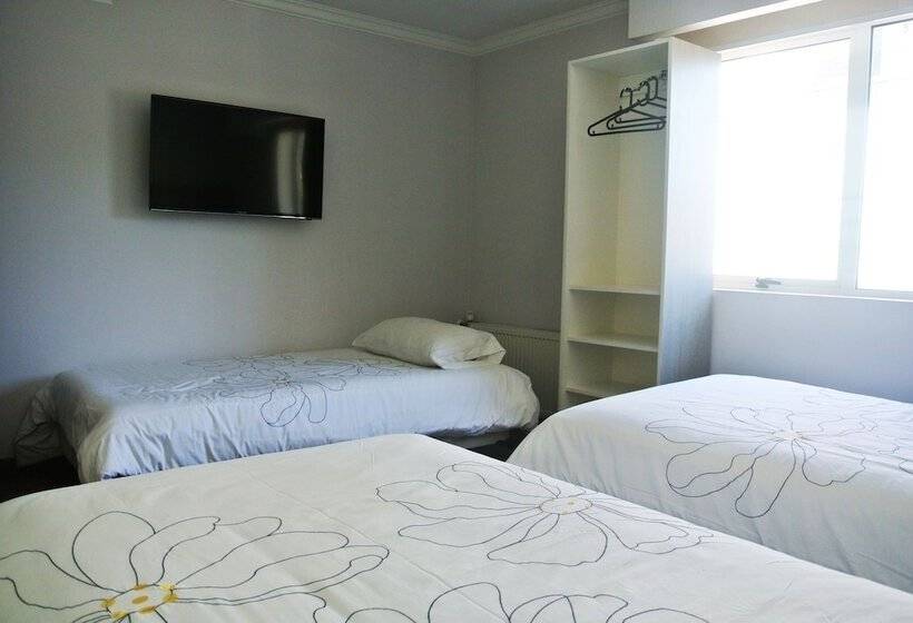 Quarto Triplo Estandar, Elisa Cole