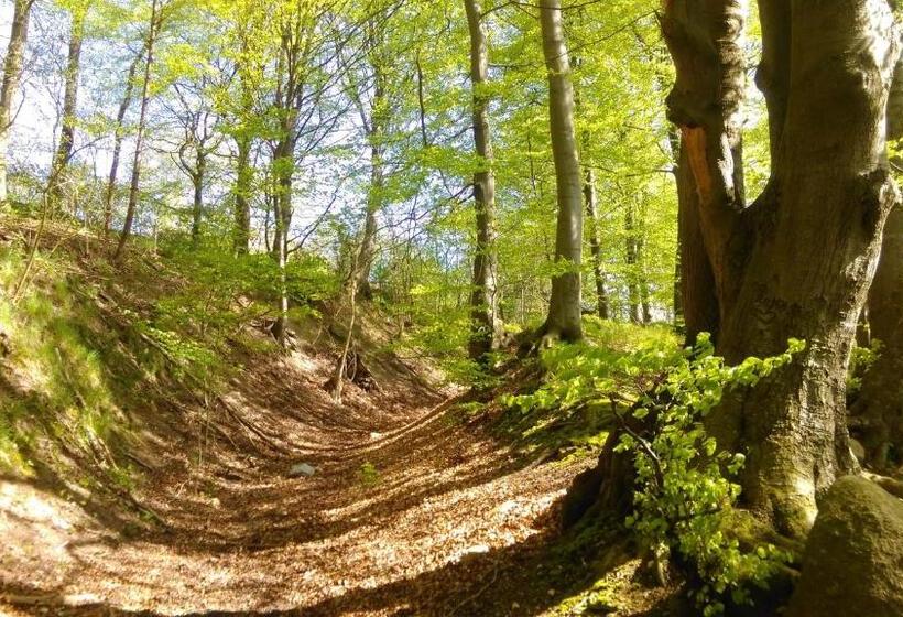 غرفة قياسية حمام مشترك, Minnesberg Bed & Breakfast