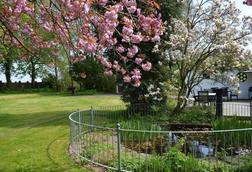 غرفة قياسية حمام مشترك, Minnesberg Bed & Breakfast