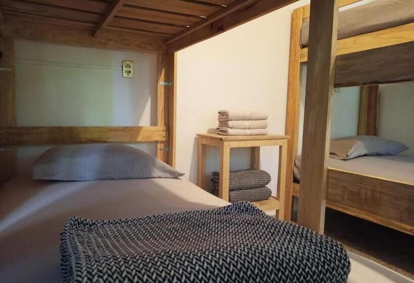 スーペリアールーム, Hostel Paricutín