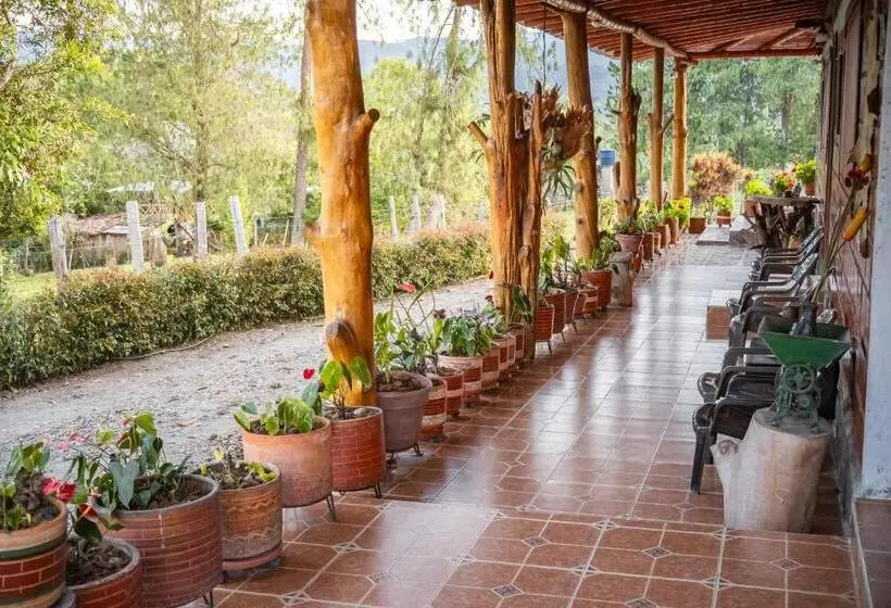 エコノミールーム, Cabañas Y Glamping Colinas De San Diego