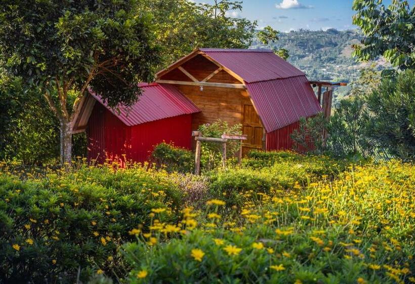 Люкс Вид на Реку, Cabañas Y Glamping Colinas De San Diego