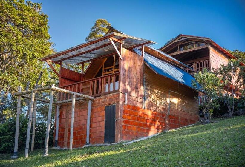 בקתת חדר, Cabañas Y Glamping Colinas De San Diego