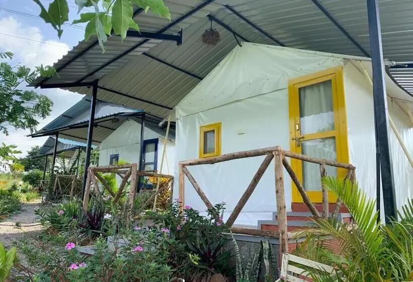 スタンダードルーム, Wilderness Jungle Camp