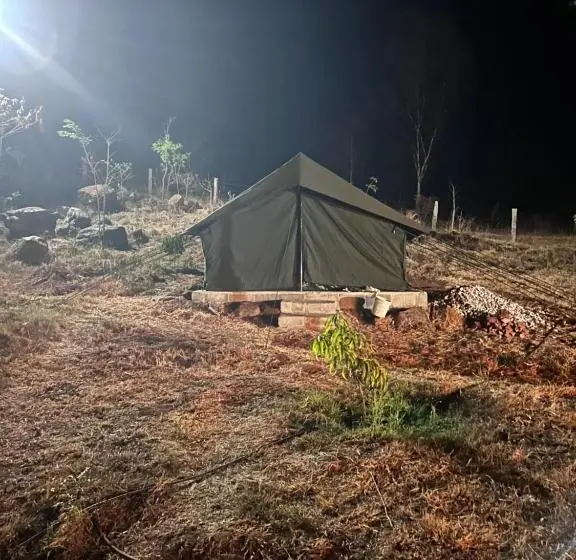 エコノミールーム, Wilderness Jungle Camp