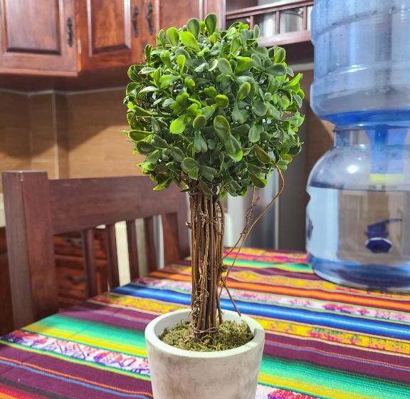 اتاق استاندارد, Casa Raxic