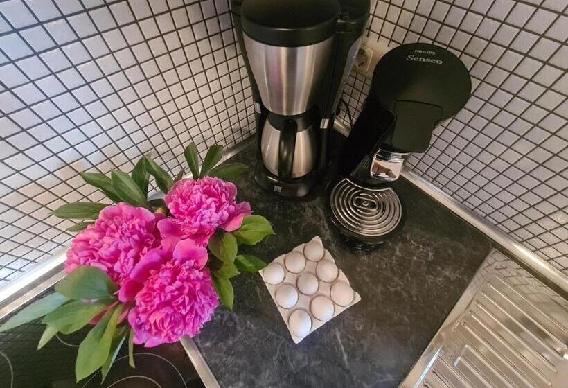 침실 1개 테라스 아파트, Landhaus Gersdorf Nahe Ostseebad Kühlungsborn