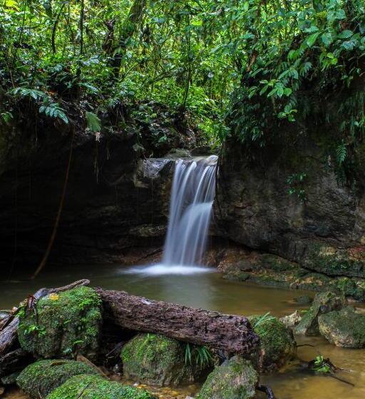 Семейный Номер, Ingaru Lodge