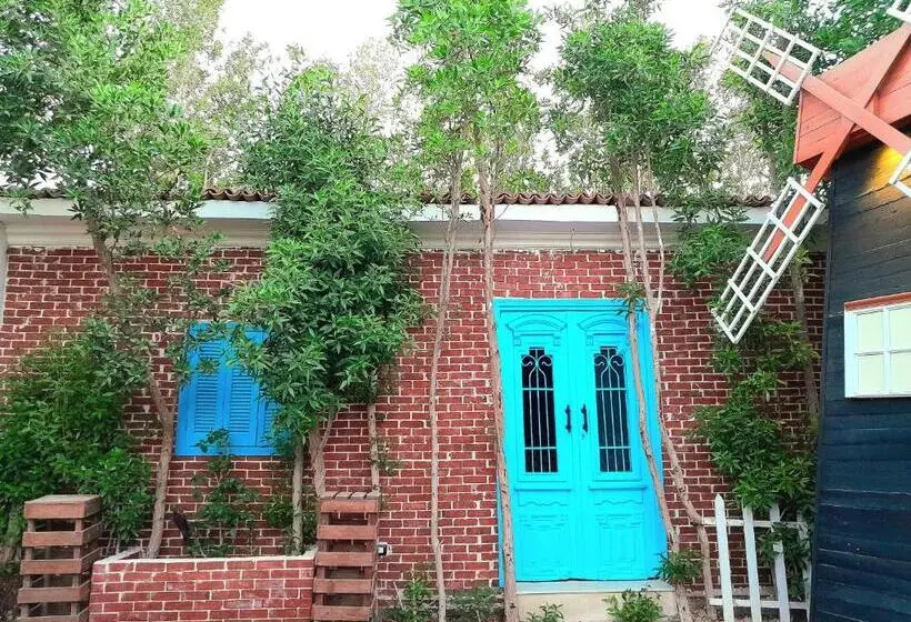 اتاق استاندارد با چشم‌انداز باغ, Ibiza Hostel