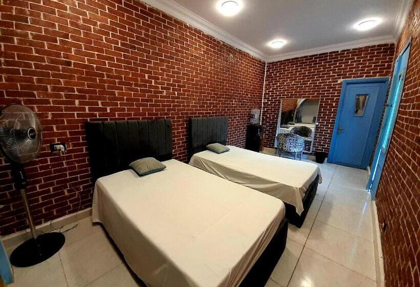 اتاق استاندارد با چشم‌انداز باغ, Ibiza Hostel