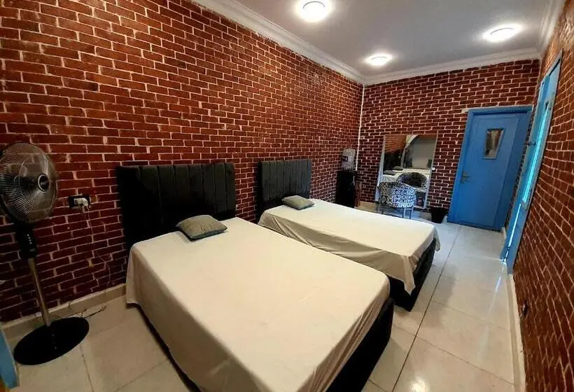 اتاق استاندارد با چشم‌انداز باغ, Ibiza Hostel