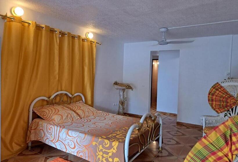 اتاق استاندارد, Kanalu Land