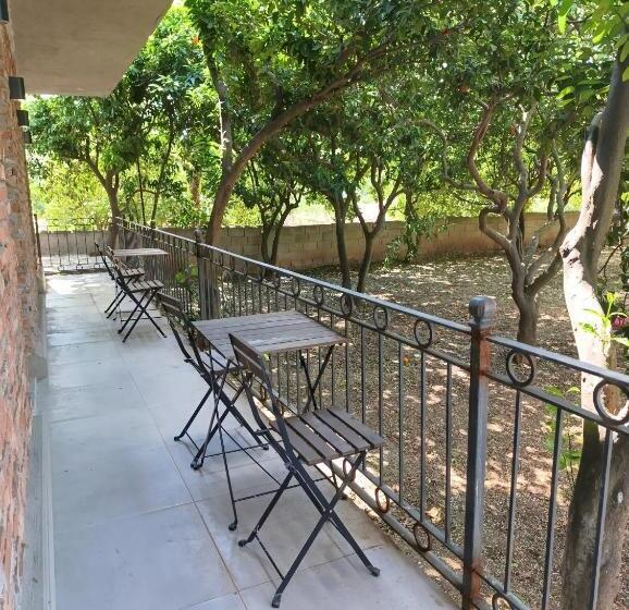 Номер Стандарт, Kumkat