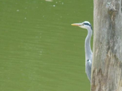 חדר סטנדרט עם ג'קוזי, La Suite Du Paysan