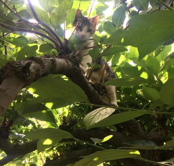 Номер Basic, B&b Campagna Casagrande